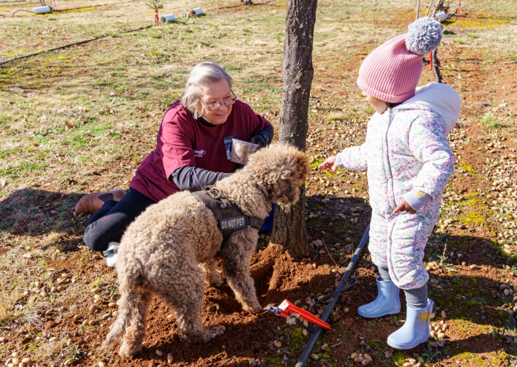 Macenmist Family Friendly Truffle Hunt