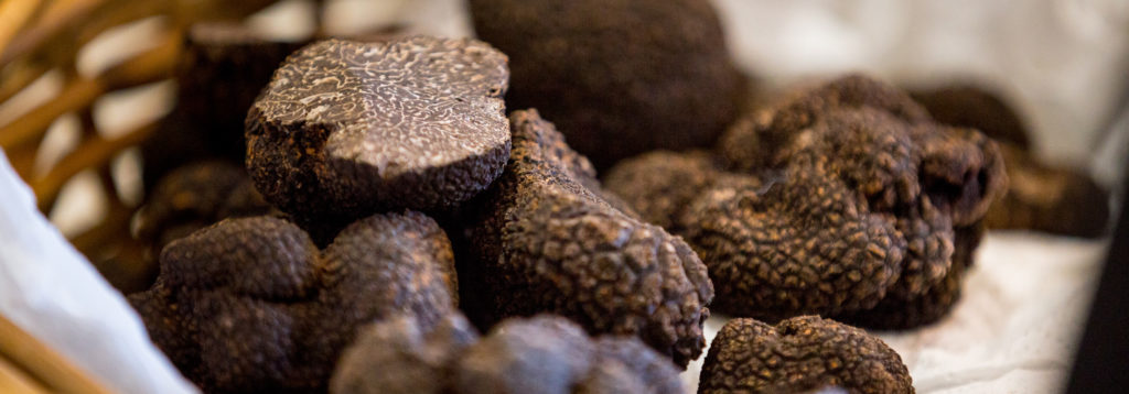 Fresh Black Truffles